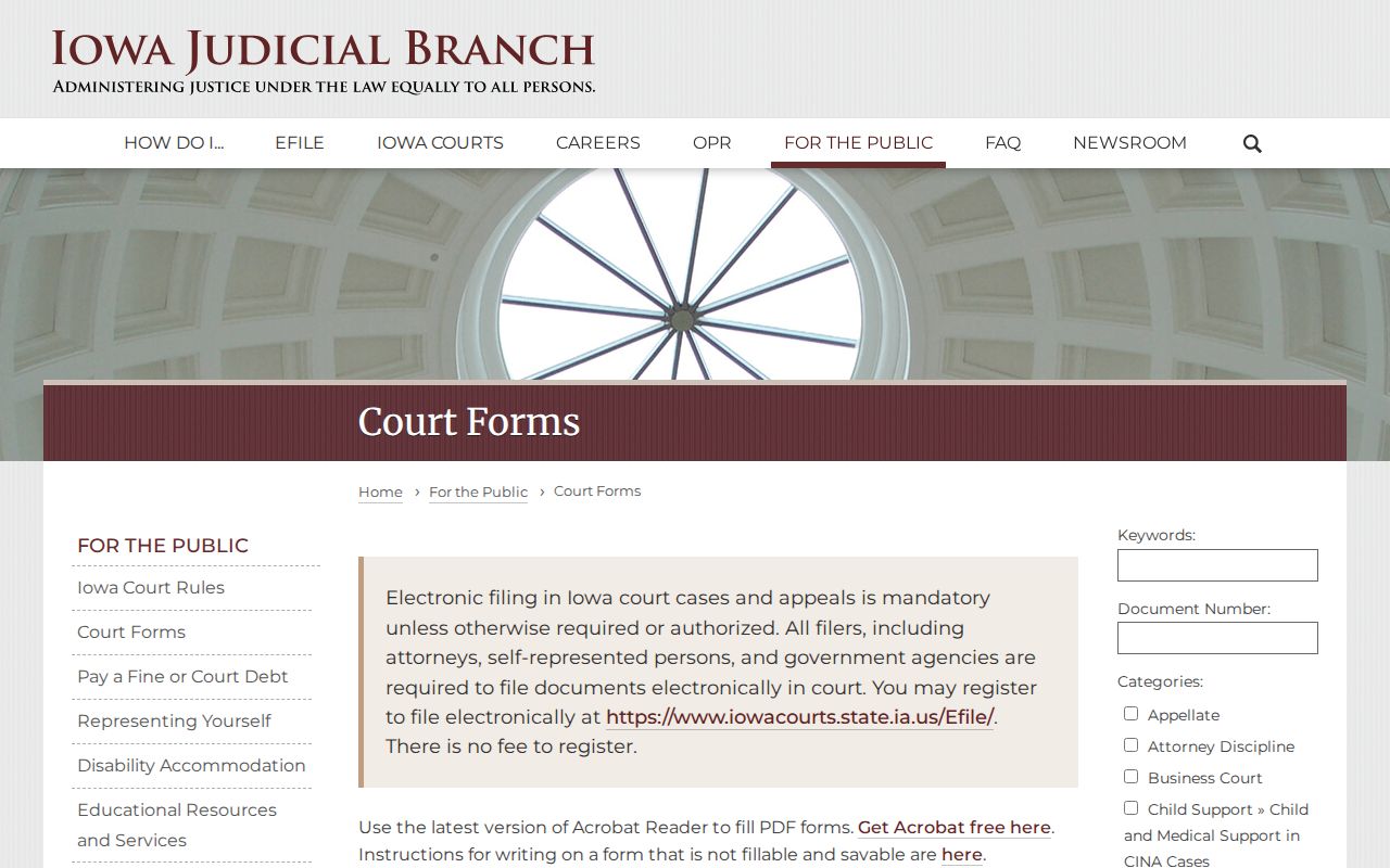 Official forms for Iowa County criminal court cases